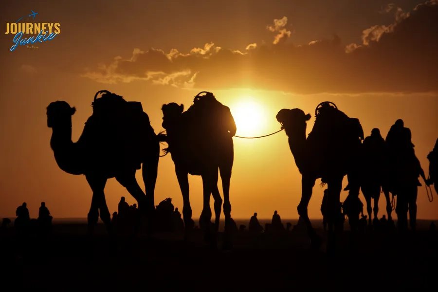  Dubai Desert Conservation Reserve