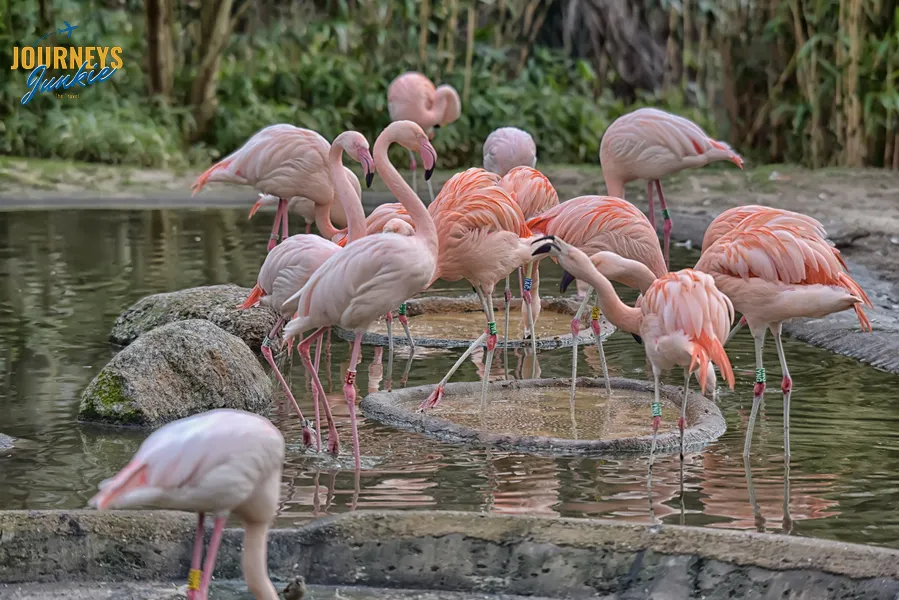 Natural Places to Visit in UAE in 2025