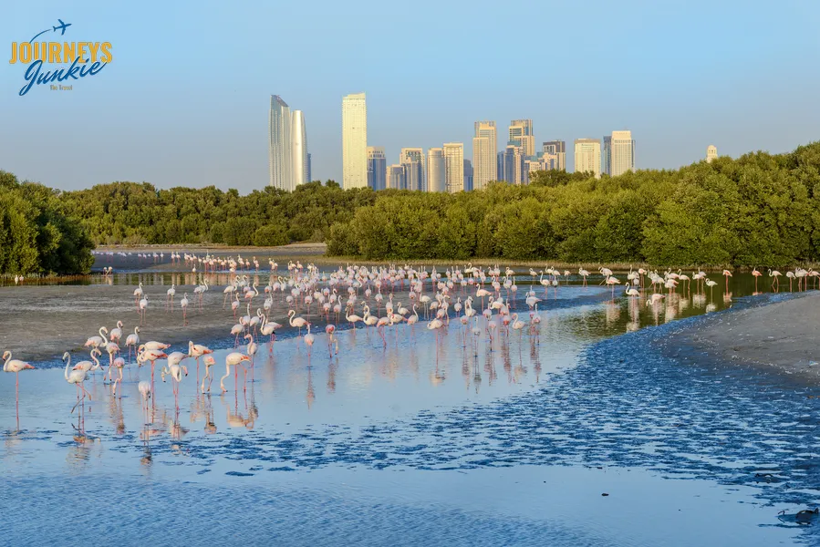 Ras Al Khor Wildlife Sanctuary