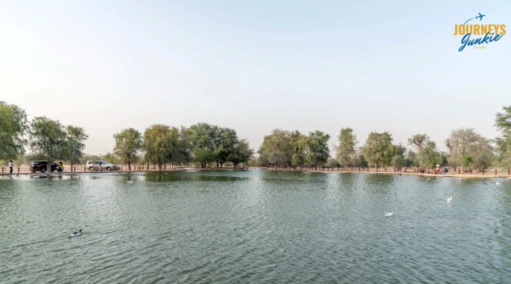 Al Qudra Lakes in Dubai